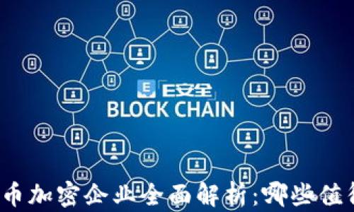 
数字货币加密企业全面解析：哪些值得关注？