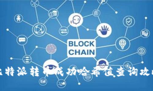 比特派转币成功哈希值查询攻略