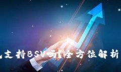 比特派钱包支持BSV吗？全方位解析与使用指南