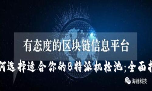 如何选择适合你的B特派机枪池：全面指南