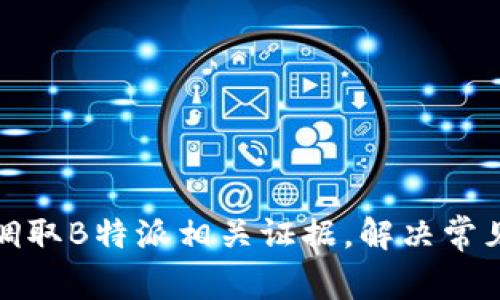 如何有效调取B特派相关证据，解决常见用户问题