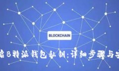 如何开启B特派钱包私钥：详细步骤与安全提示