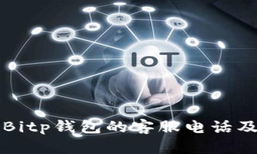 如何快速查找Bitp钱包的客服电话及账号恢复方法