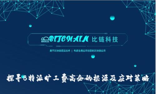 探寻B特派旷工费高企的根源及应对策略