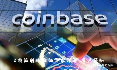 B特派转账验证需求详解：用户须知