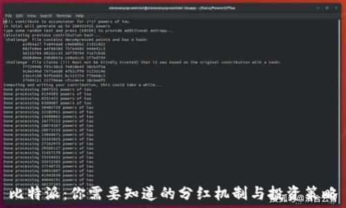  
比特派：你需要知道的分红机制与投资策略