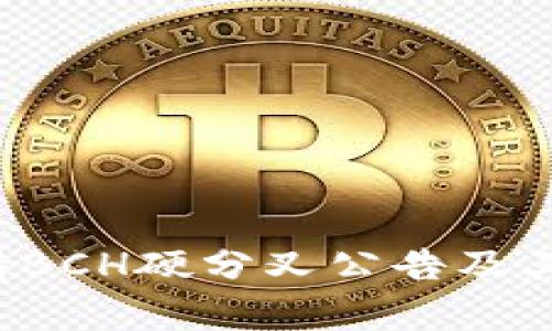 b特派支持BCH硬分叉公告及其影响解析