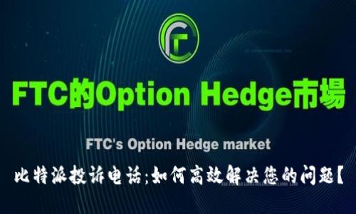 比特派投诉电话：如何高效解决您的问题？