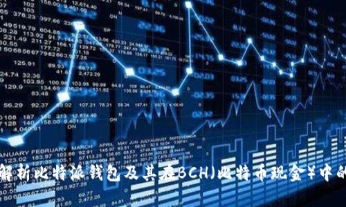 全面解析比特派钱包及其在BCH（比特币现金）中的应用