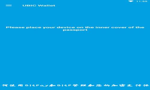 如何使用BitPay和BitP管理和您的加密支付体验