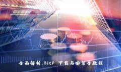 全面解析：BitP 下载与安装全教程