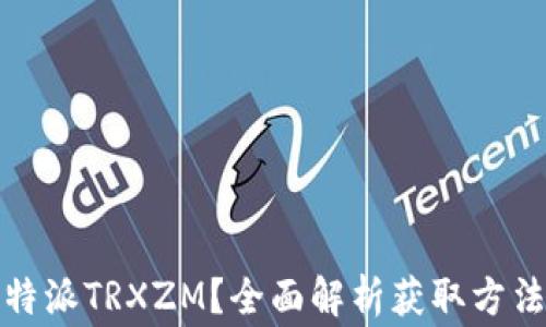 
如何获取比特派TRXZM？全面解析获取方法及注意事项