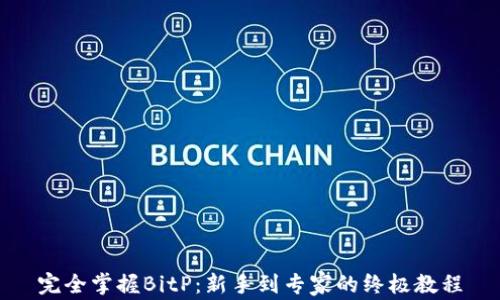 
完全掌握BitP：新手到专家的终极教程