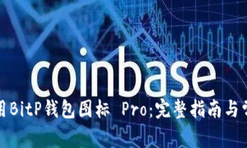 如何正确使用BitP钱包图标 Pro：完整指南与常见问题解答