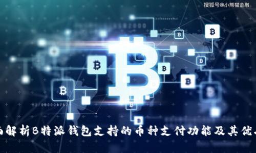 全面解析B特派钱包支持的币种支付功能及其优劣势