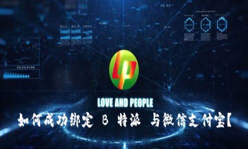 如何成功绑定 B 特派 与微信支付宝？