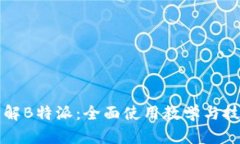 深入了解B特派：全面使用教学与技巧指导
