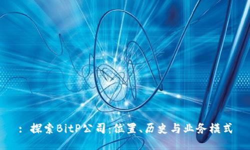 : 探索BitP公司：位置、历史与业务模式