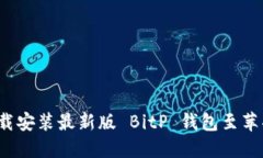 如何下载安装最新版 BitP 钱包至苹果设备？