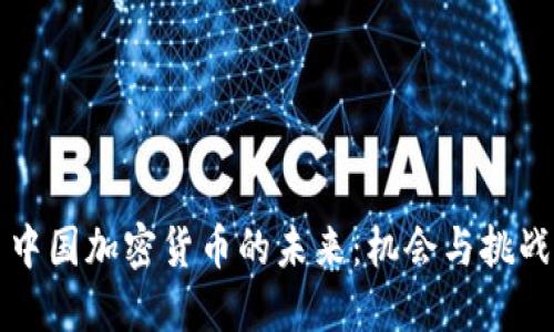 中国加密货币的未来：机会与挑战