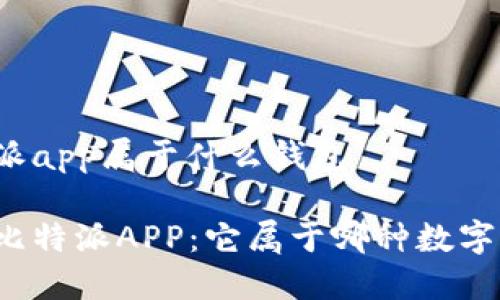 比特派app属于什么钱包

揭秘比特派APP：它属于哪种数字钱包？