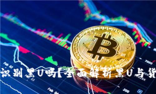 : 比特派能识别黑U吗？全面解析黑U与货币识别技术