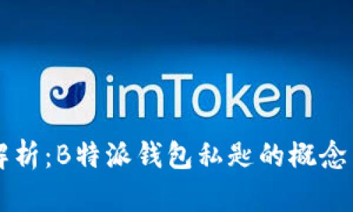 深入解析：B特派钱包私匙的概念与应用