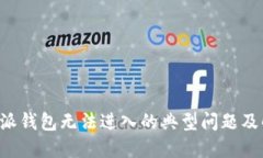 解决B特派钱包无法进入的典型问题及解决方案