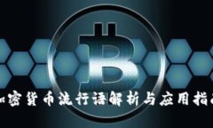 加密货币流行语解析与应用指南