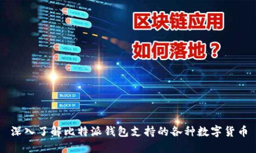 深入了解比特派钱包支持的各种数字货币