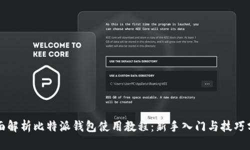 全面解析比特派钱包使用教程：新手入门与技巧分享