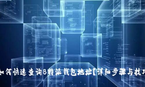 如何快速查询B特派钱包地址？详细步骤与技巧